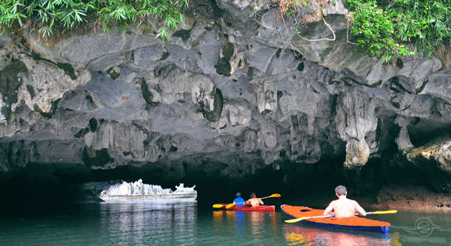 halong bay luon cave